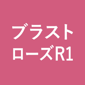 カラーコーティングシミュレーション